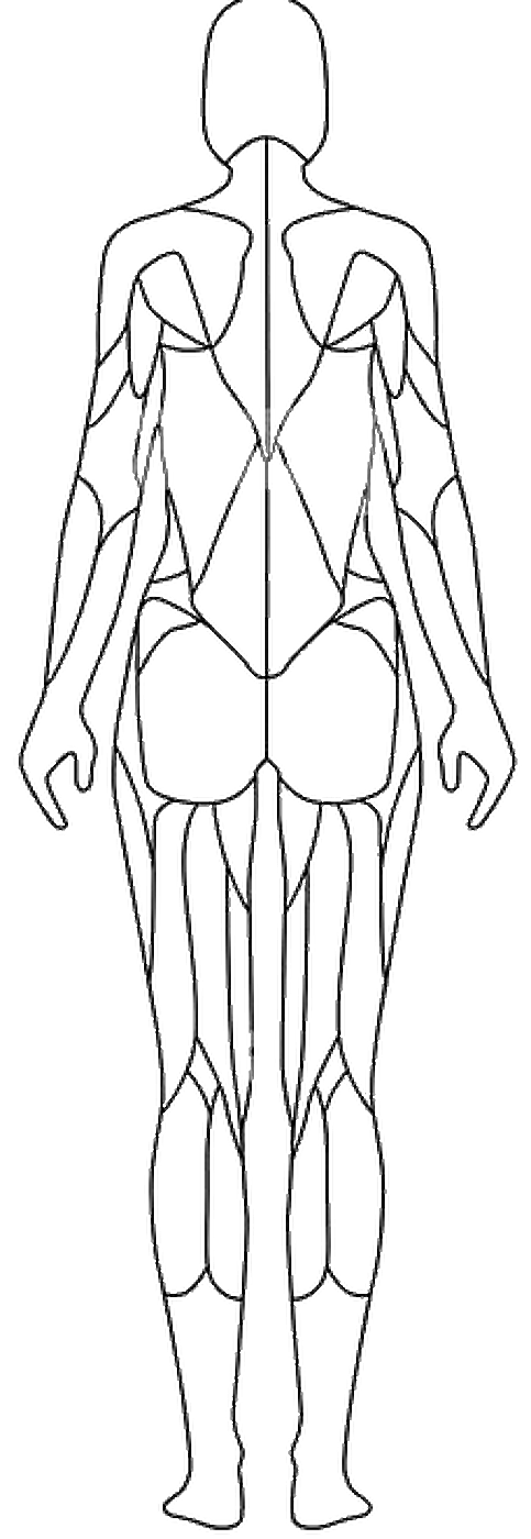 جسم أنثى - خلفي